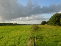 View of acres next to Appelbergroute near Groningen