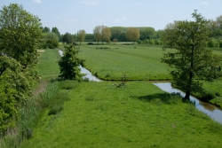 View to the south from the Diefdijk near Schoonrewoerd