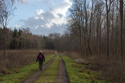 Hollandse Hout route