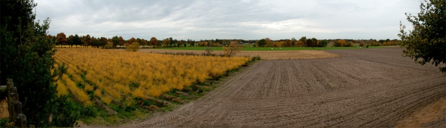 Meinweg panoramic view Asperges fields