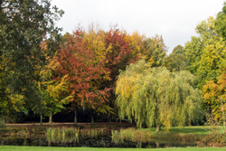 Estaste near Soest Autumn colours
