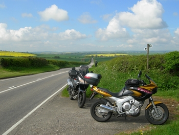 Rapeseed